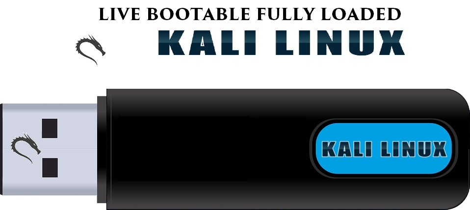 How to Boot Kali Linux from USB Live Persistence Using Windows 10